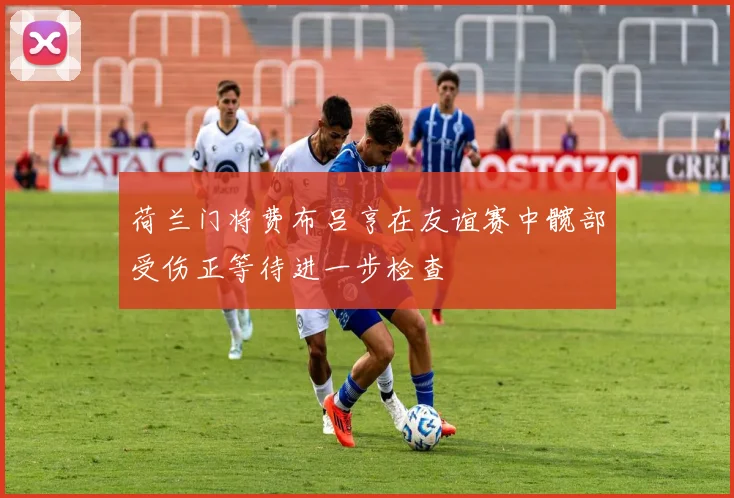 荷兰门将费布吕亨在友谊赛中髋部受伤正等待进一步检查