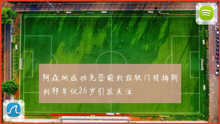 阿森纳成功免签前利兹联门将梅斯利耶年仅26岁引发关注