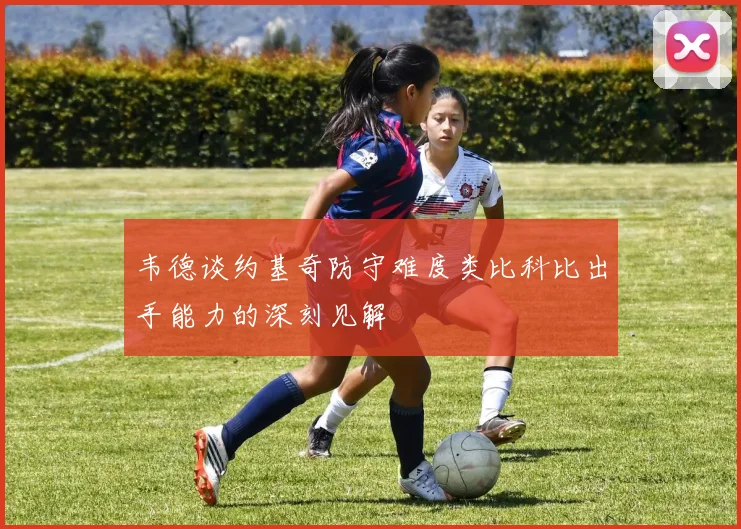 韦德谈约基奇防守难度类比科比出手能力的深刻见解