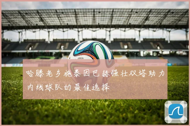 哈滕老乡施泰因巴赫强壮双塔助力内线球队的最佳选择